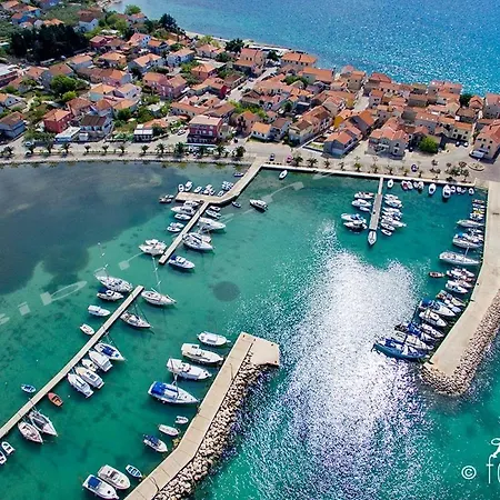 Bruno ביבינייה